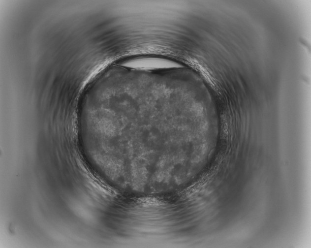X0000096140392200802081353