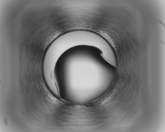 X0000096140393200802081353