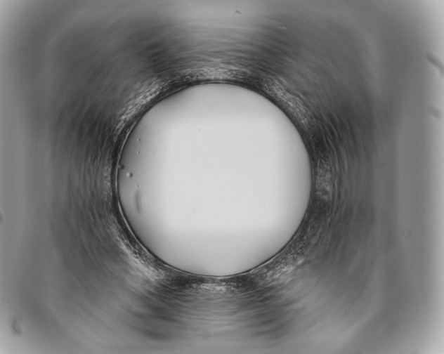 X0000096140394200802081353
