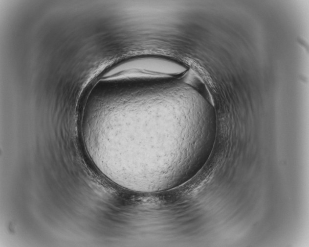 X0000096140395200802081353