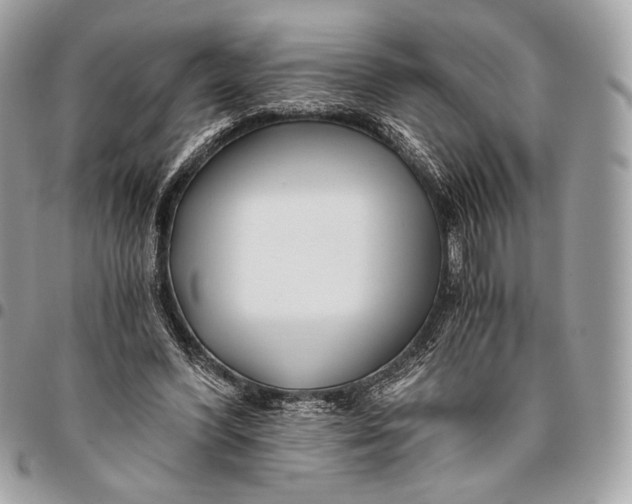 X0000096140396200802081353