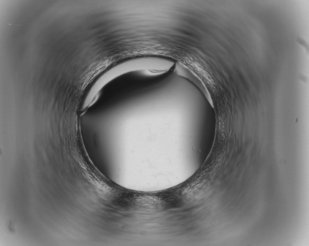 X0000096140397200802081353