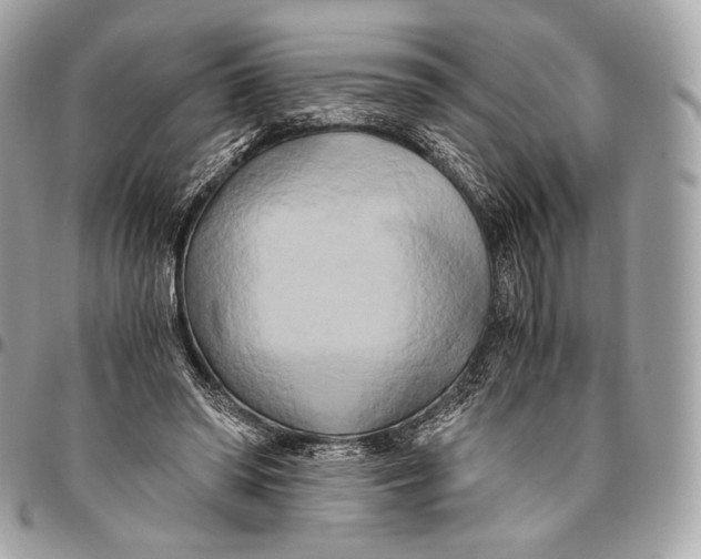 X0000096140398200802081353