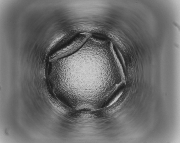 X0000096140399200802081353