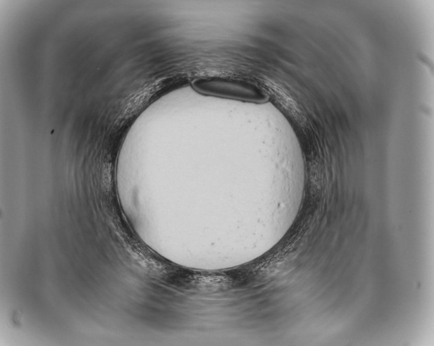 X0000096140401200802081353