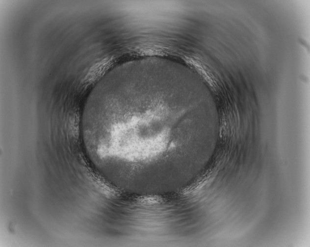 X0000096140402200802081353
