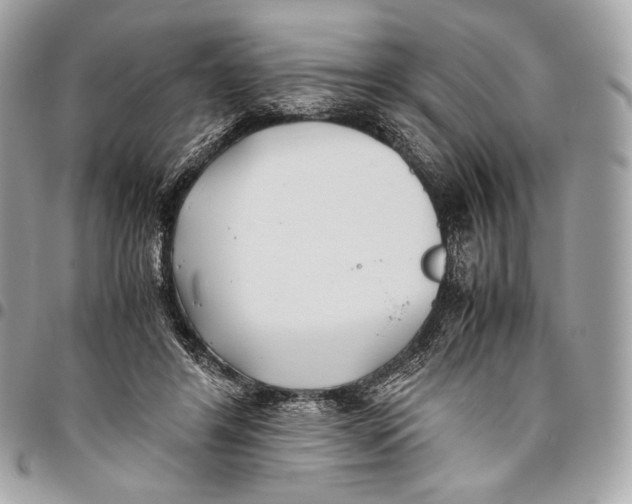 X0000096140404200802081353