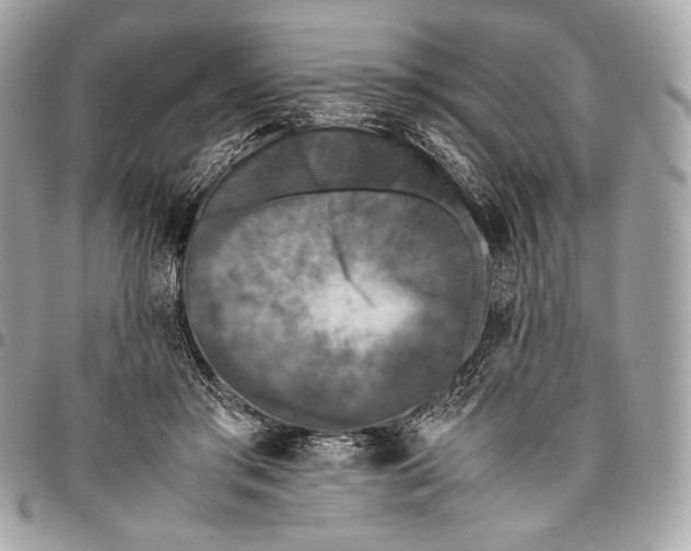 X0000096140405200802081353