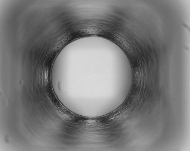 X0000096140406200802081353