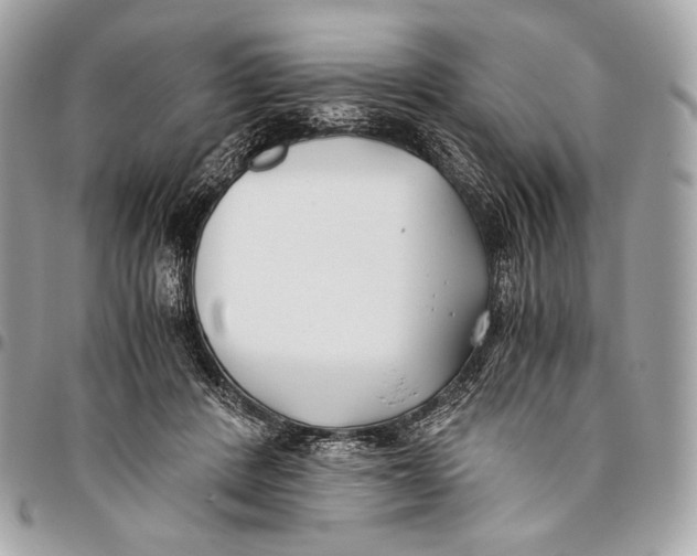 X0000096140408200802081353