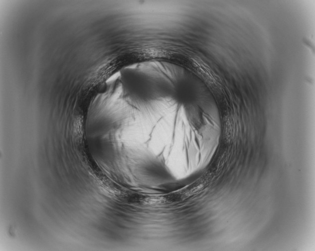X0000096140410200802081353