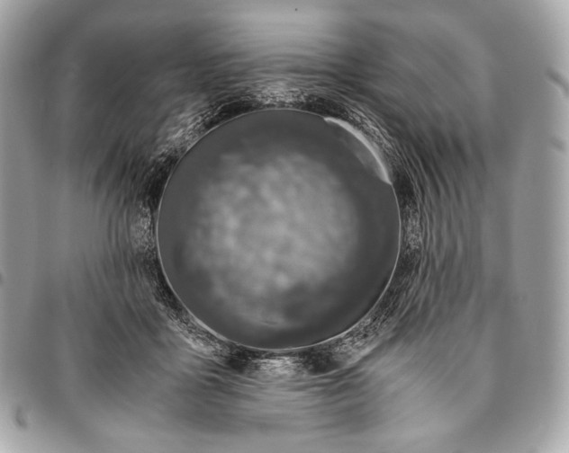 X0000096140411200802081353