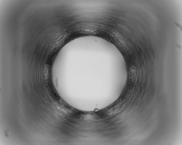 X0000096140412200802081353