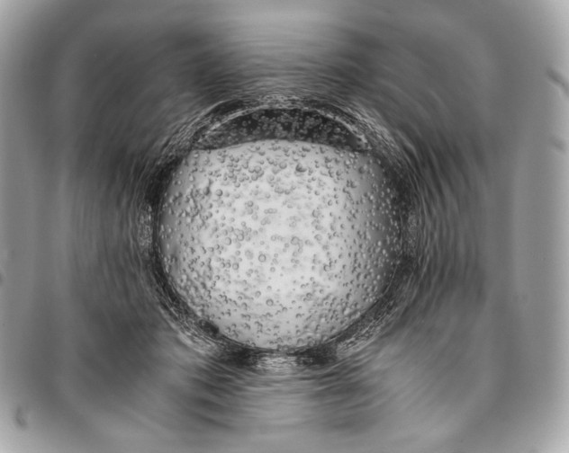 X0000096140413200802081353