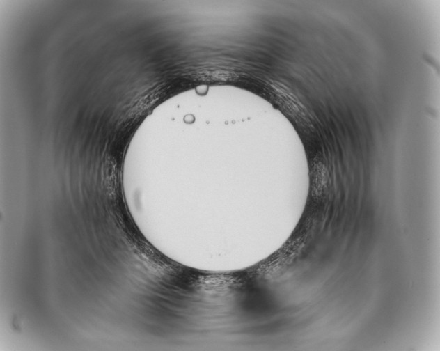 X0000096140414200802081353