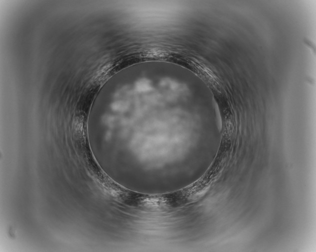 X0000096140415200802081353