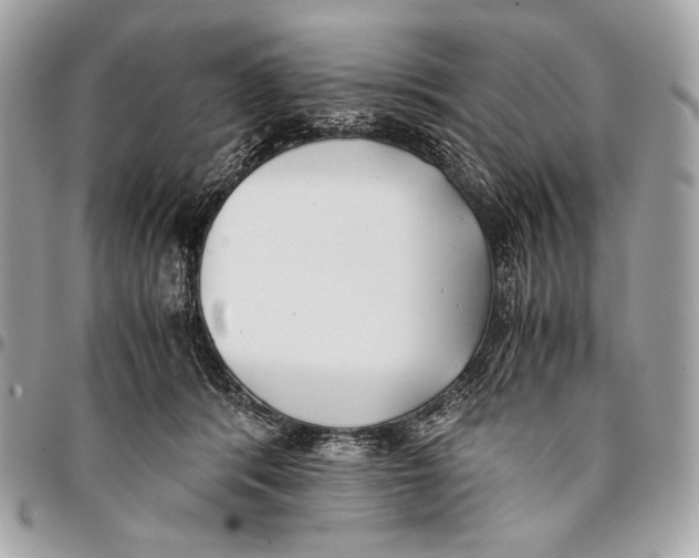 X0000096140416200802081352