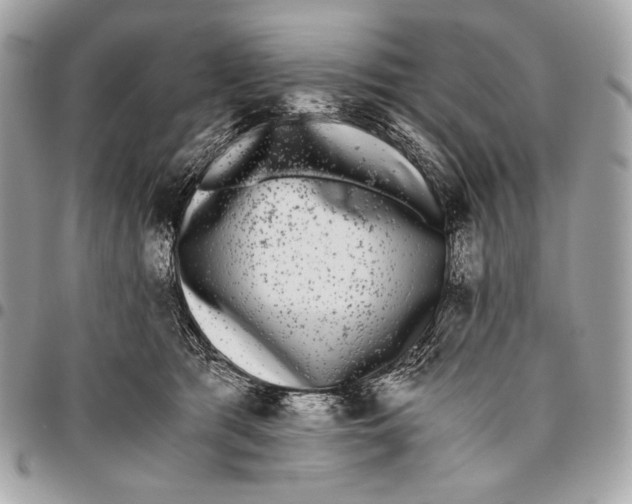 X0000096140417200802081352