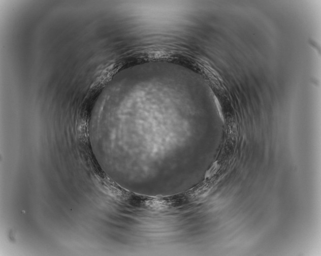 X0000096140419200802081352