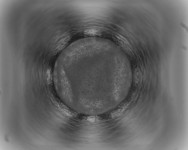 X0000096140420200802081352