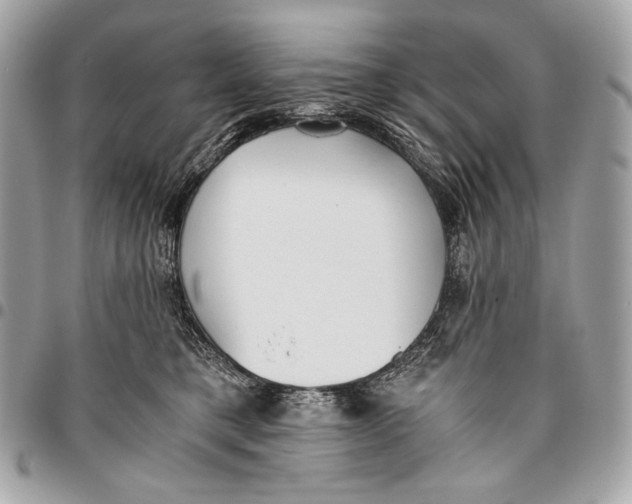 X0000096140421200802081352