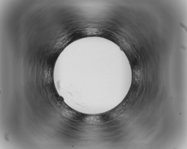 X0000096140422200802081352