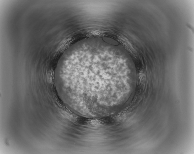X0000096140423200802081352