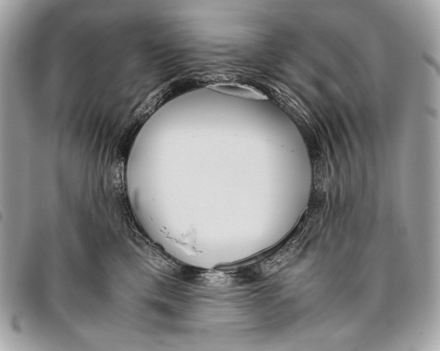 X0000096140425200802081352