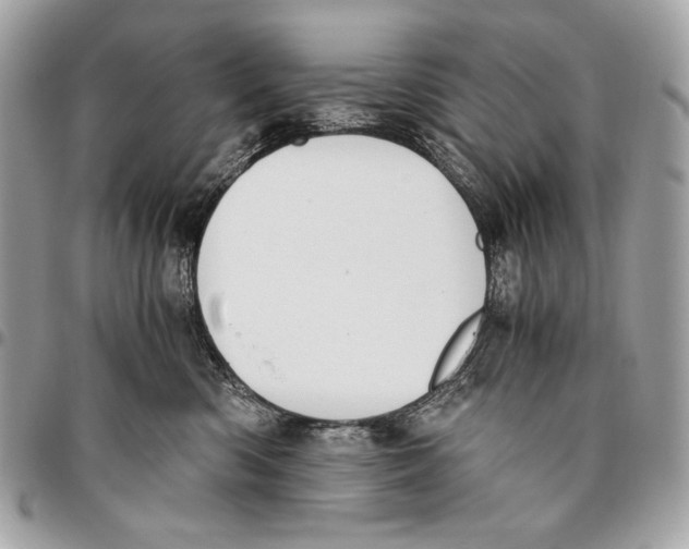 X0000096140426200802081352