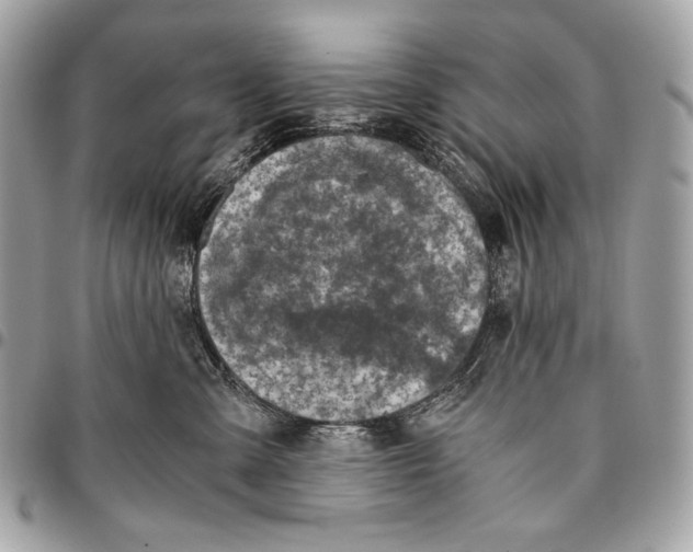 X0000096140427200802081352