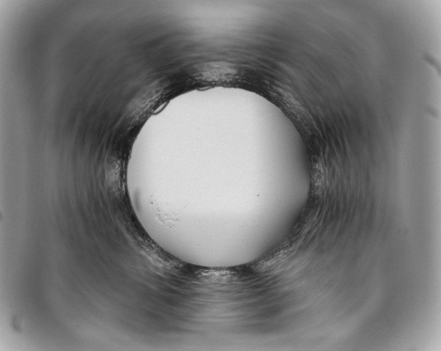 X0000096140428200802081352