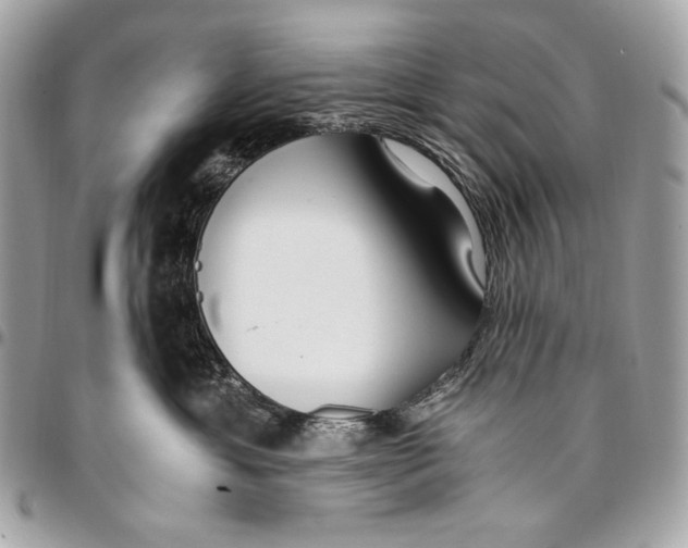 X0000096140429200802081352