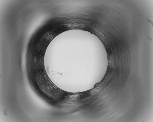 X0000096140430200802081352