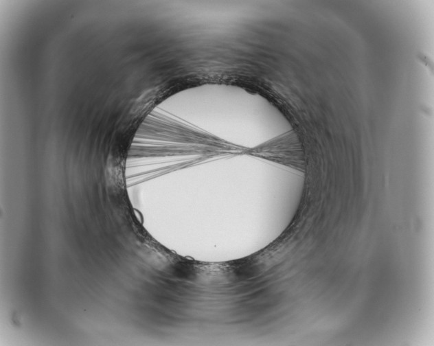 X0000096140432200802081352