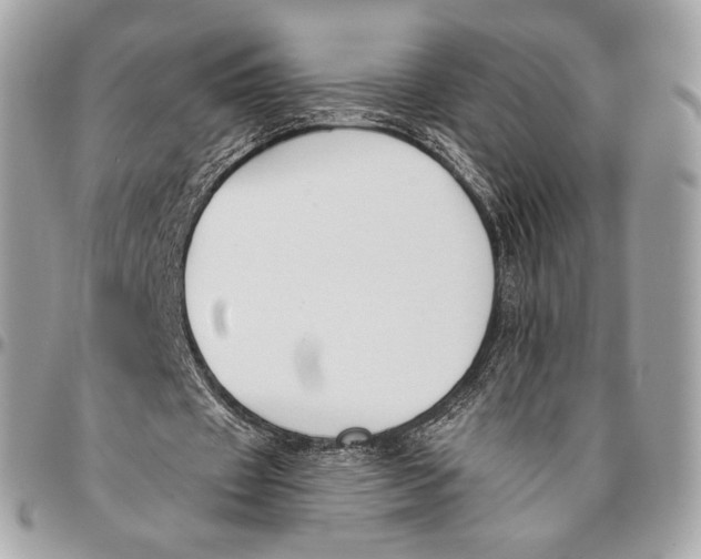 X0000096140433200802081351