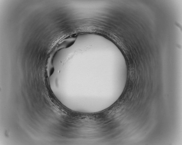 X0000096140434200802081351