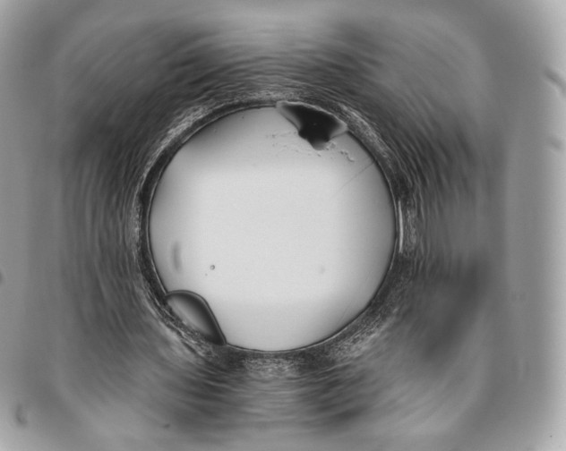 X0000096140435200802081351