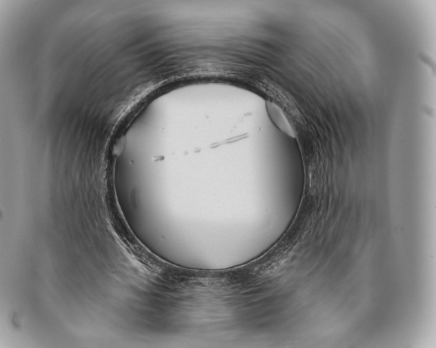 X0000096140436200802081351