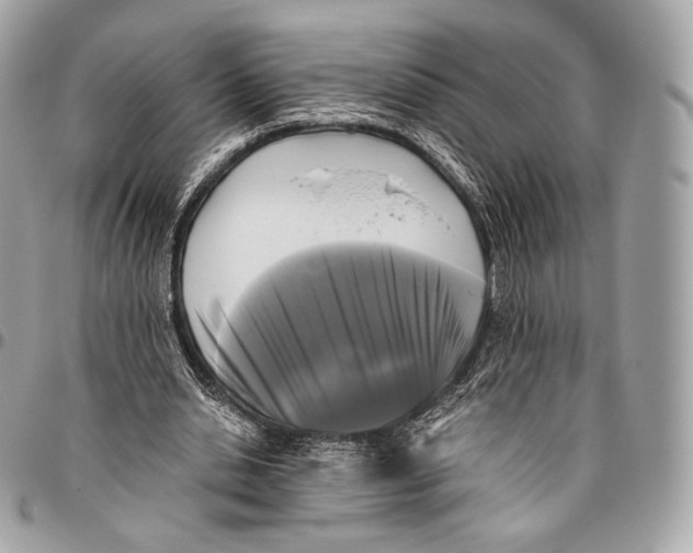 X0000096140438200802081352