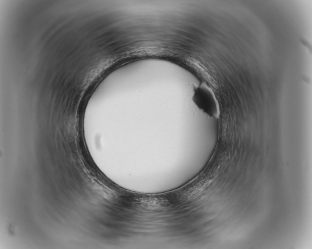 X0000096140439200802081352
