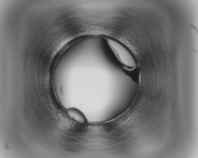 X0000096140440200802081352