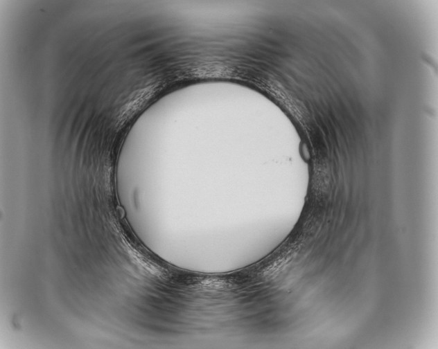 X0000096140441200802081352