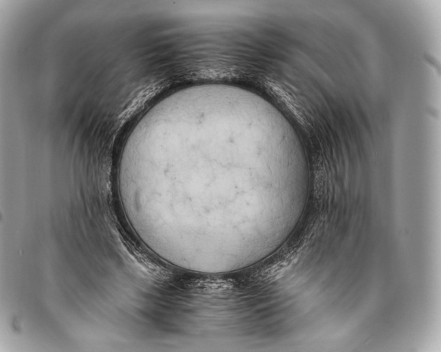 X0000096140443200802081352