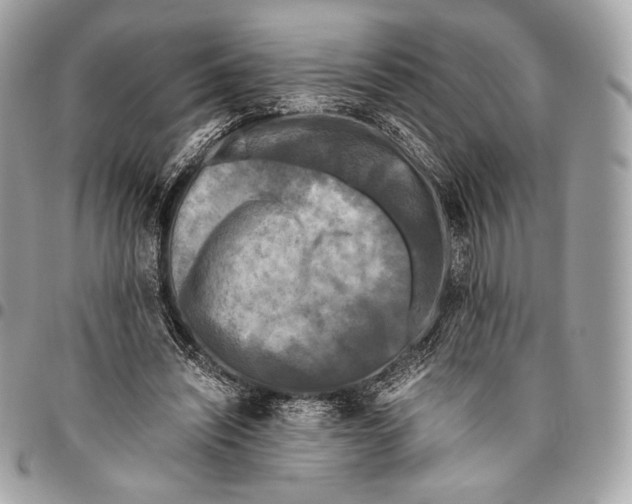 X0000096140444200802081352