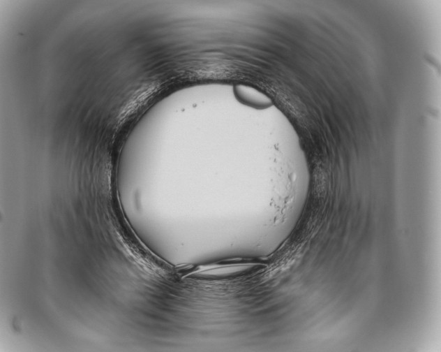 X0000096140446200802081352