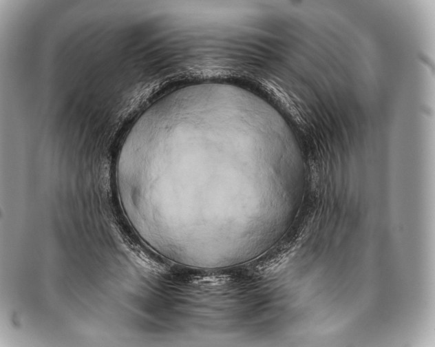 X0000096140447200802081352