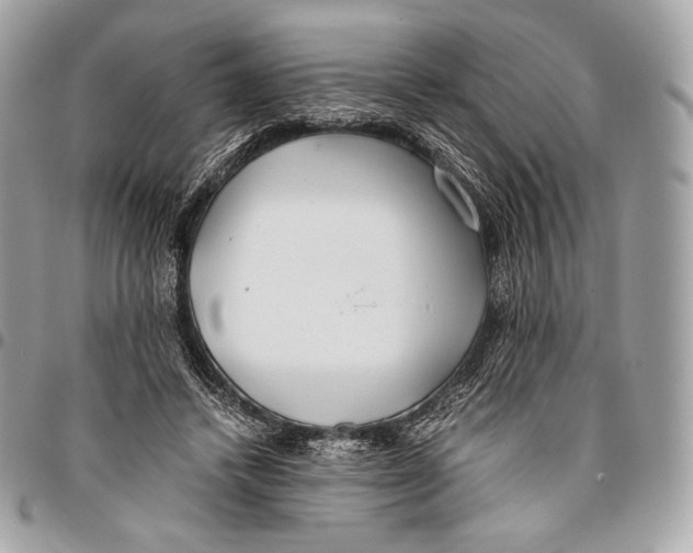 X0000096140448200802081352