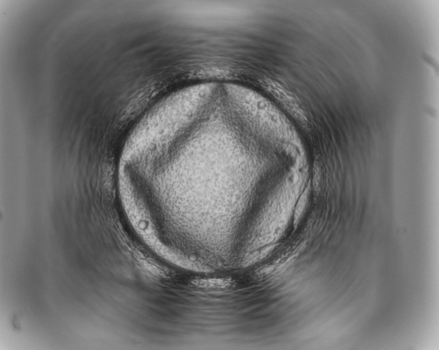 X0000096140449200802081352