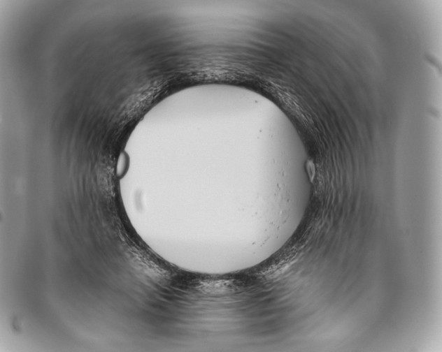 X0000096140450200802081352