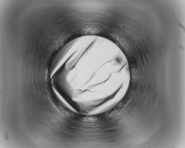 X0000096140451200802081352